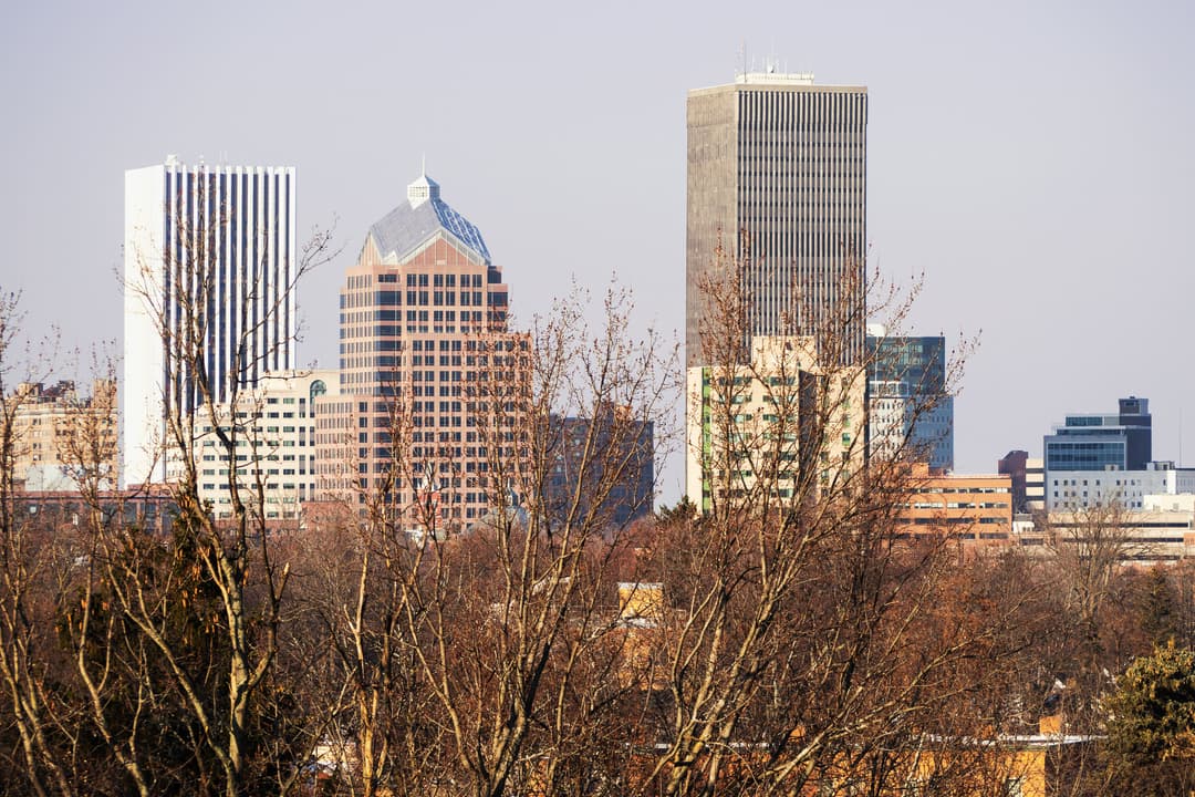 Rochester Real Estate Newsletter - November 2024